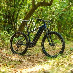 Tips Cerdas Menyimpan Sepeda, Lindungi Investasi Anda dengan Benar