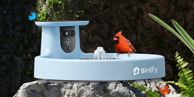 Birdfy Bath Pro, Inovasi Bak Mandi Burung Cerdas untuk Penggemar Birdwatching